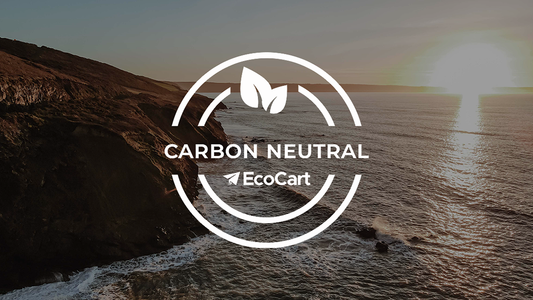 Taking Positive Strides with EcoCart - Saltrock