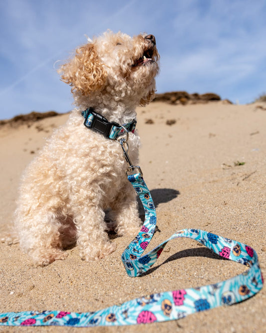 Lush Waves Dog Lead in Light Blue