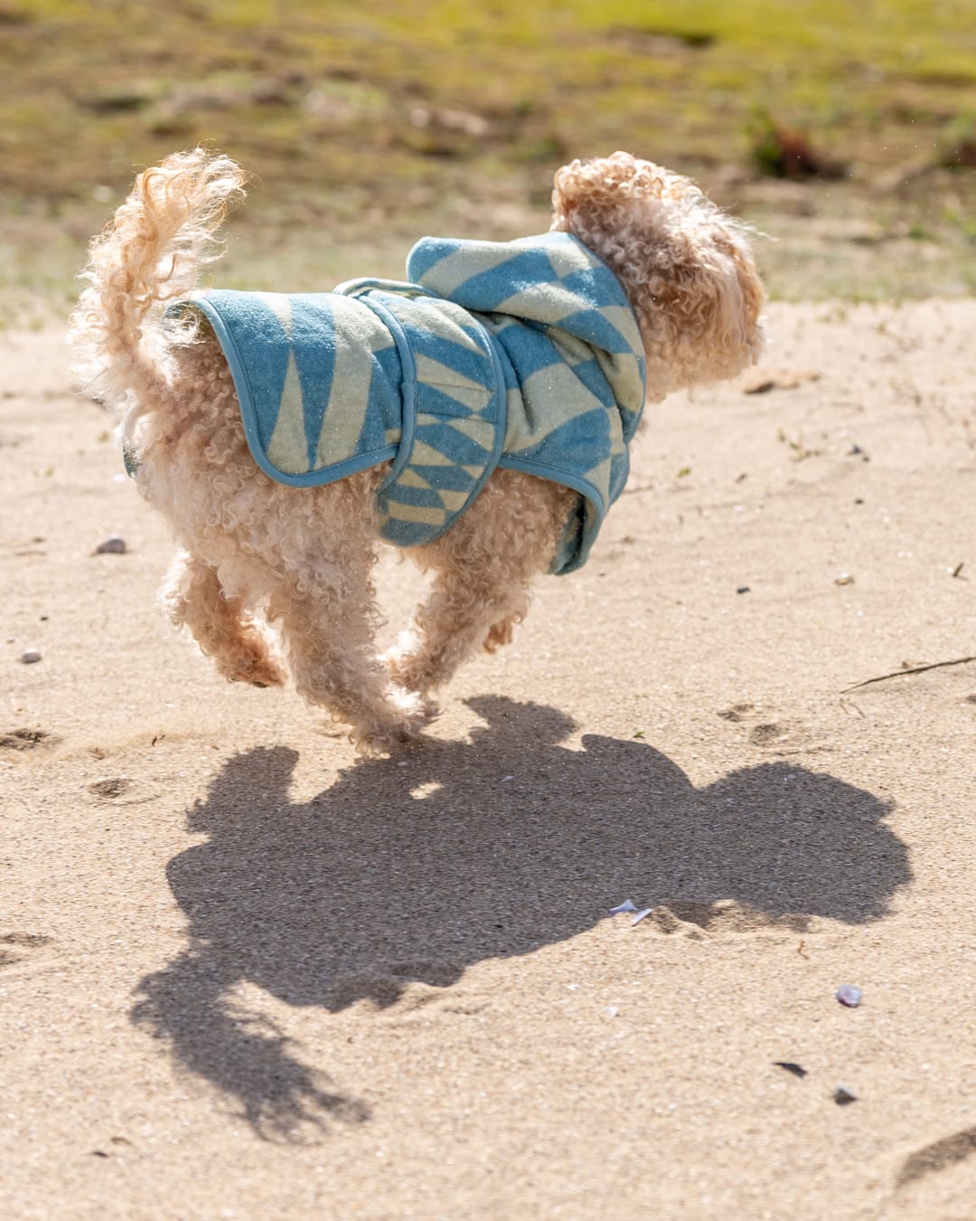 Warp Pet Towelling Robe in Light Blue