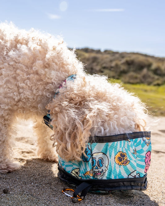 Lush Waves Pet packable bowl in Blue
