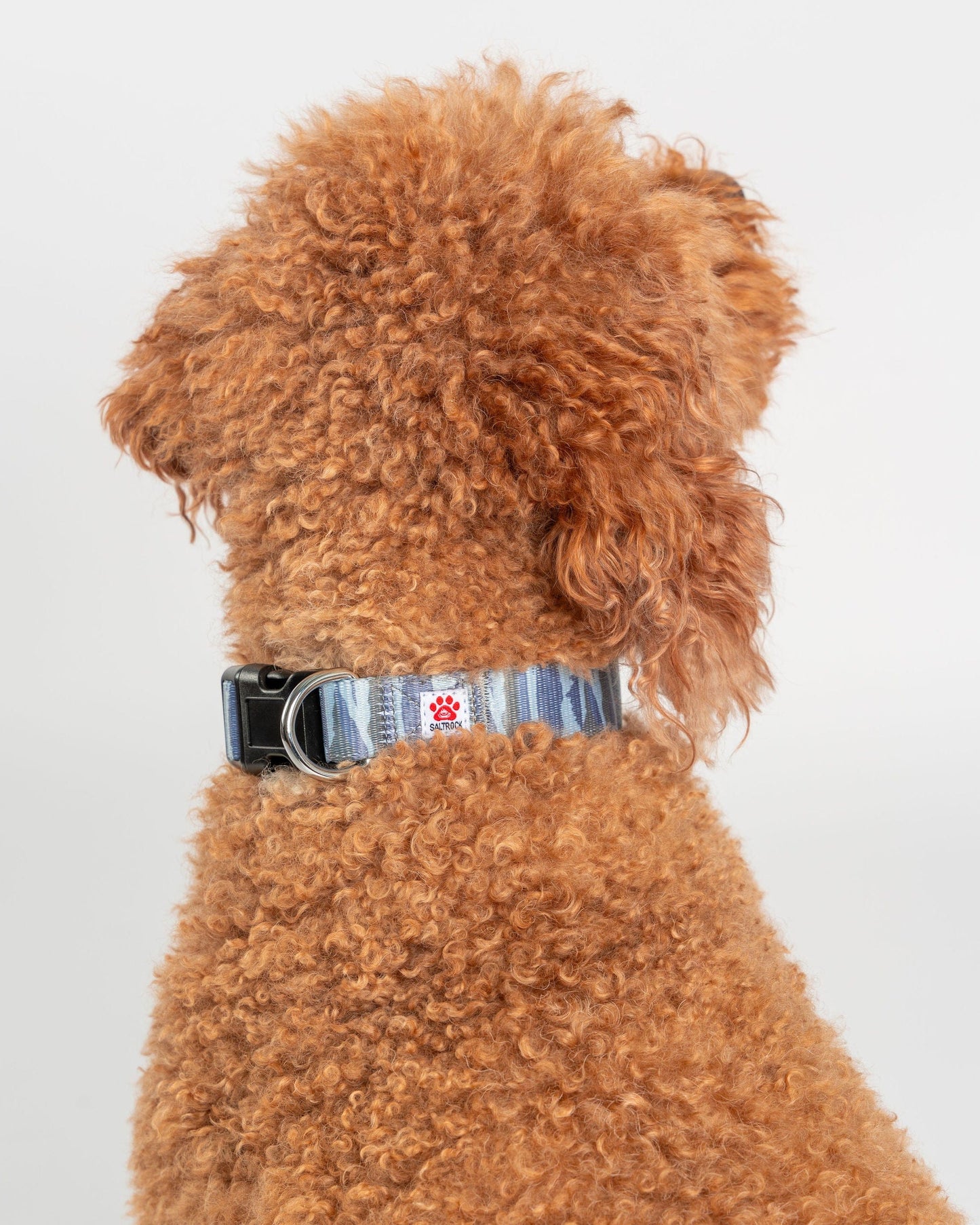 Camo Stripe - Pet Collar - Green