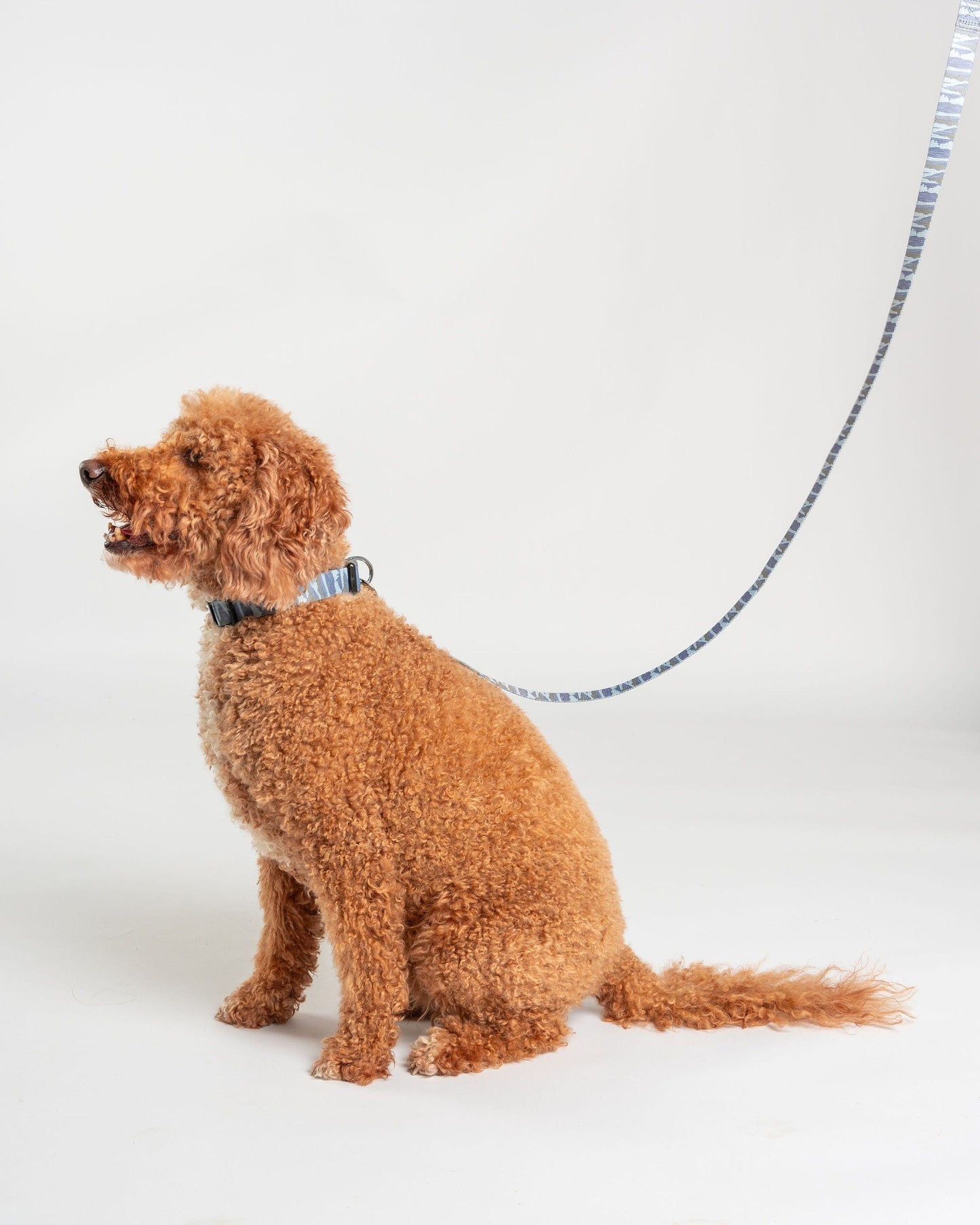 Camo Stripe - Pet Lead - Green