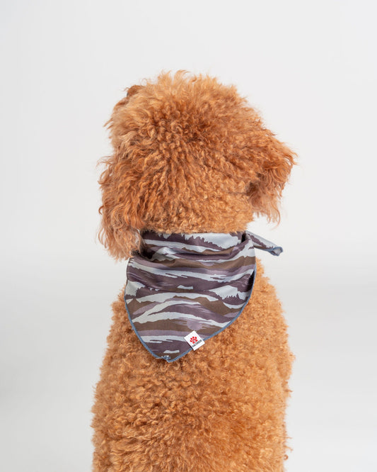 A curly-haired dog sits facing away, wearing the Saltrock Camo Stripe Pet Bandana in green—a stylish accessory with a small paw print tag that pairs perfectly with a matching dog collar.