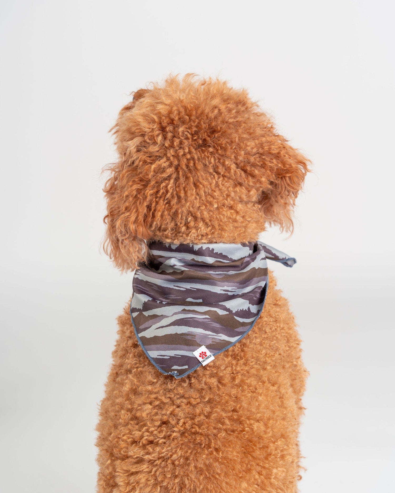 A curly-haired dog sits facing away, wearing the Saltrock Camo Stripe Pet Bandana in green—a stylish accessory with a small paw print tag that pairs perfectly with a matching dog collar.
