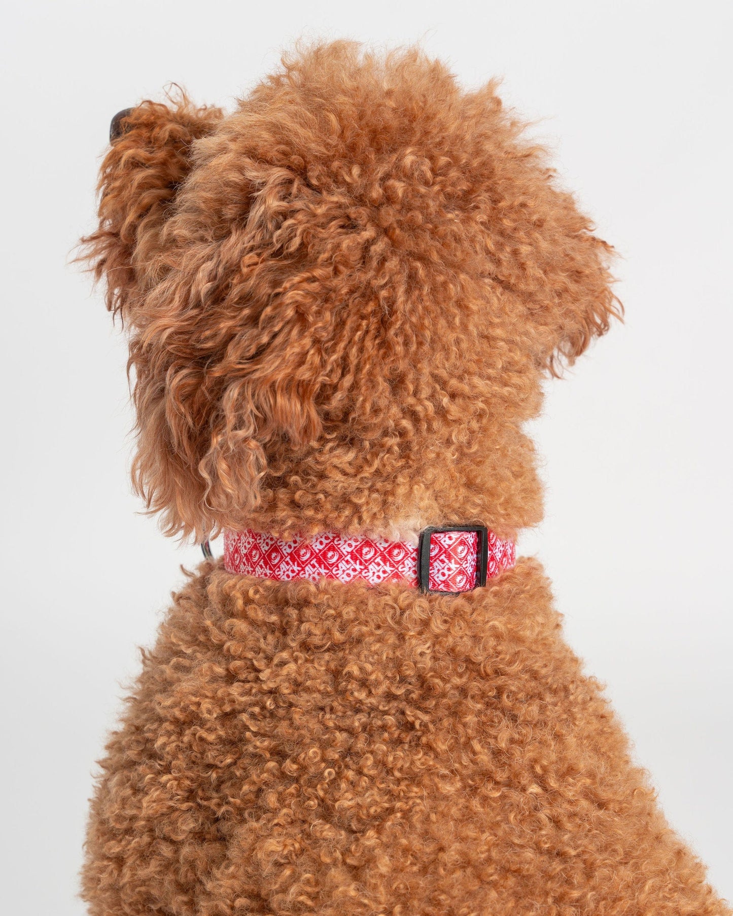 Corp - Dog Collar - Red