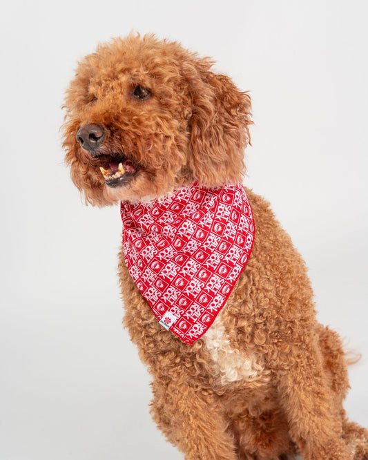 Corp - Pet Bandana - Red