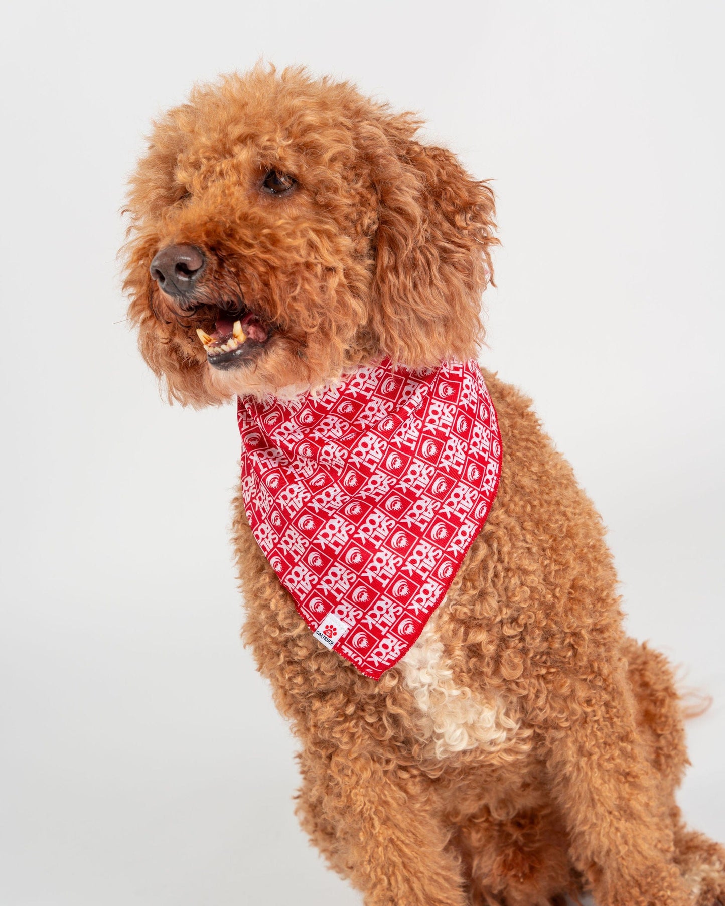 Corp - Pet Bandana - Red