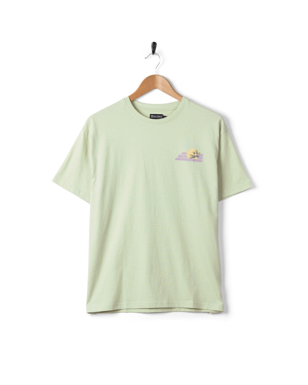 Poster Location Devon Womens Oversized Short Sleeve T-Shirt in Light Green