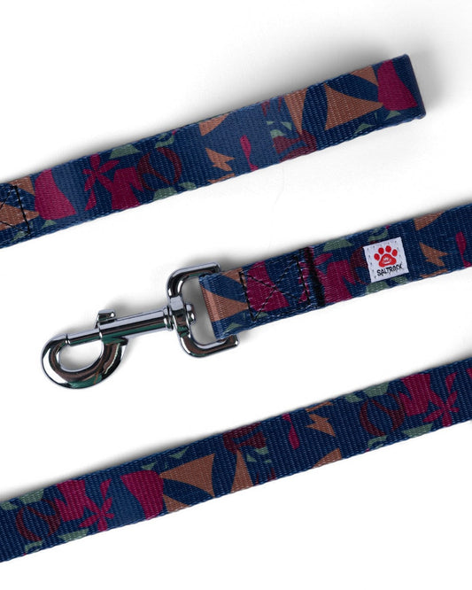 Balance - Pet Lead - Blue