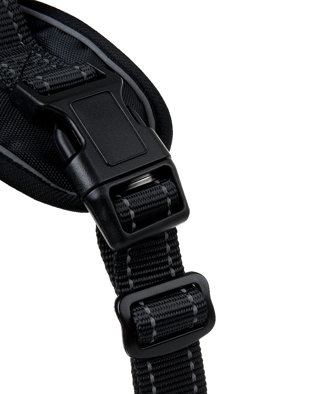 A close up of a Saltrock Pet Harness in Black with adjustable straps and a buckle.