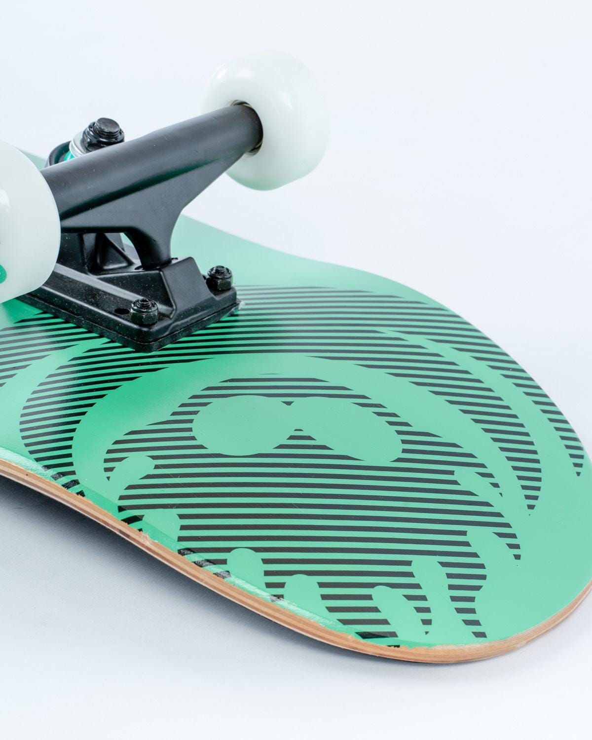 Shockwave - Skateboard - Turquoise - Saltrock