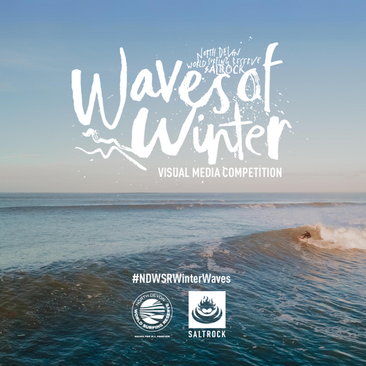 WinterWaves