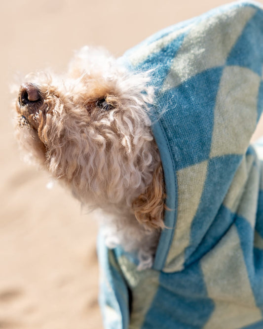 Warp Pet Towelling Robe in Light Blue