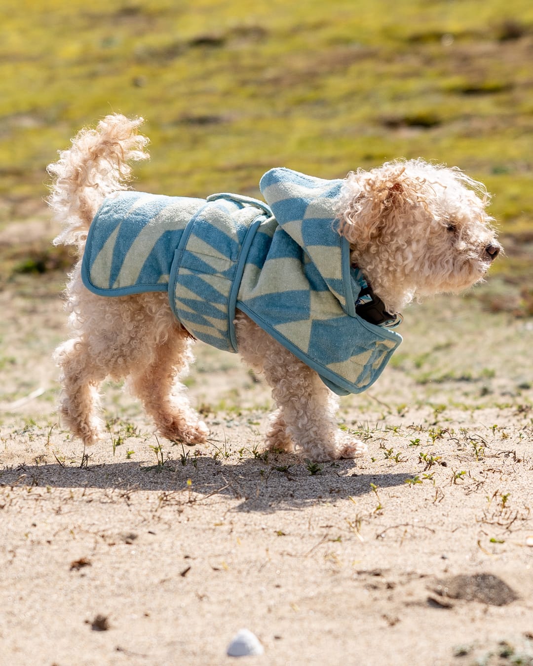 Warp Pet Towelling Robe in Light Blue