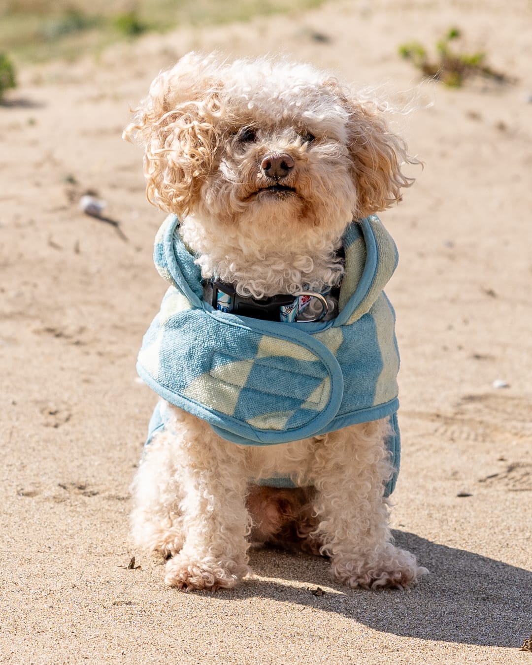 Warp Pet Towelling Robe in Light Blue