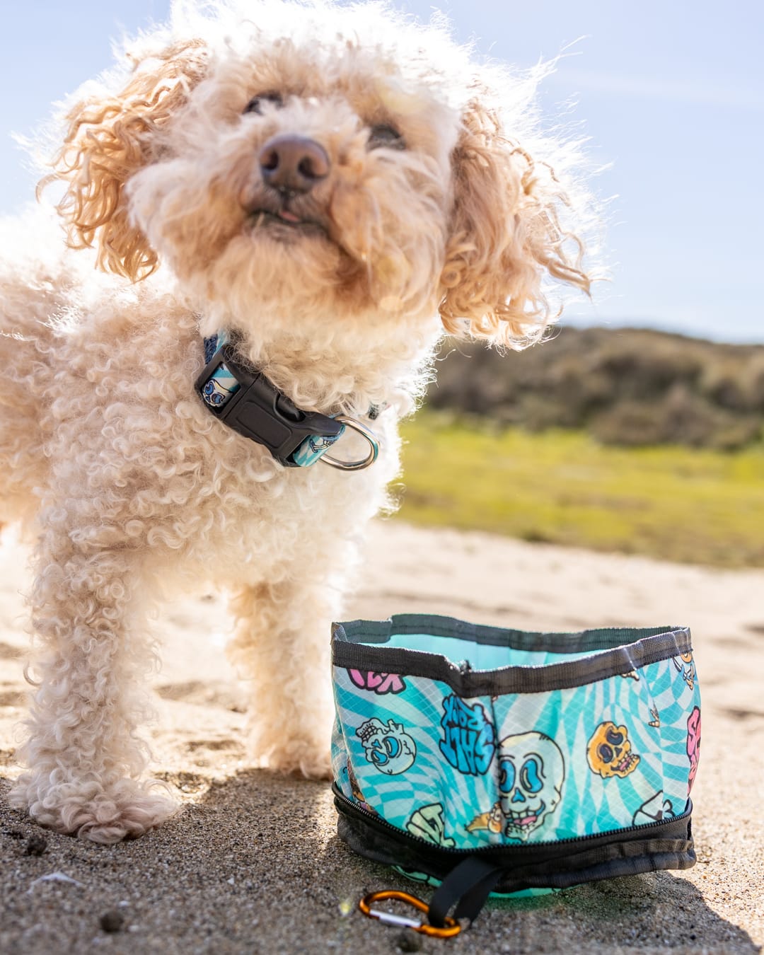 Lush Waves Pet packable bowl in Blue