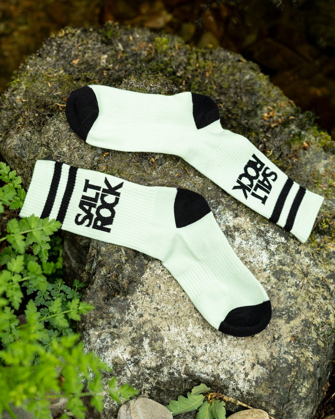 Trinity 3 Sock Pack in Multi