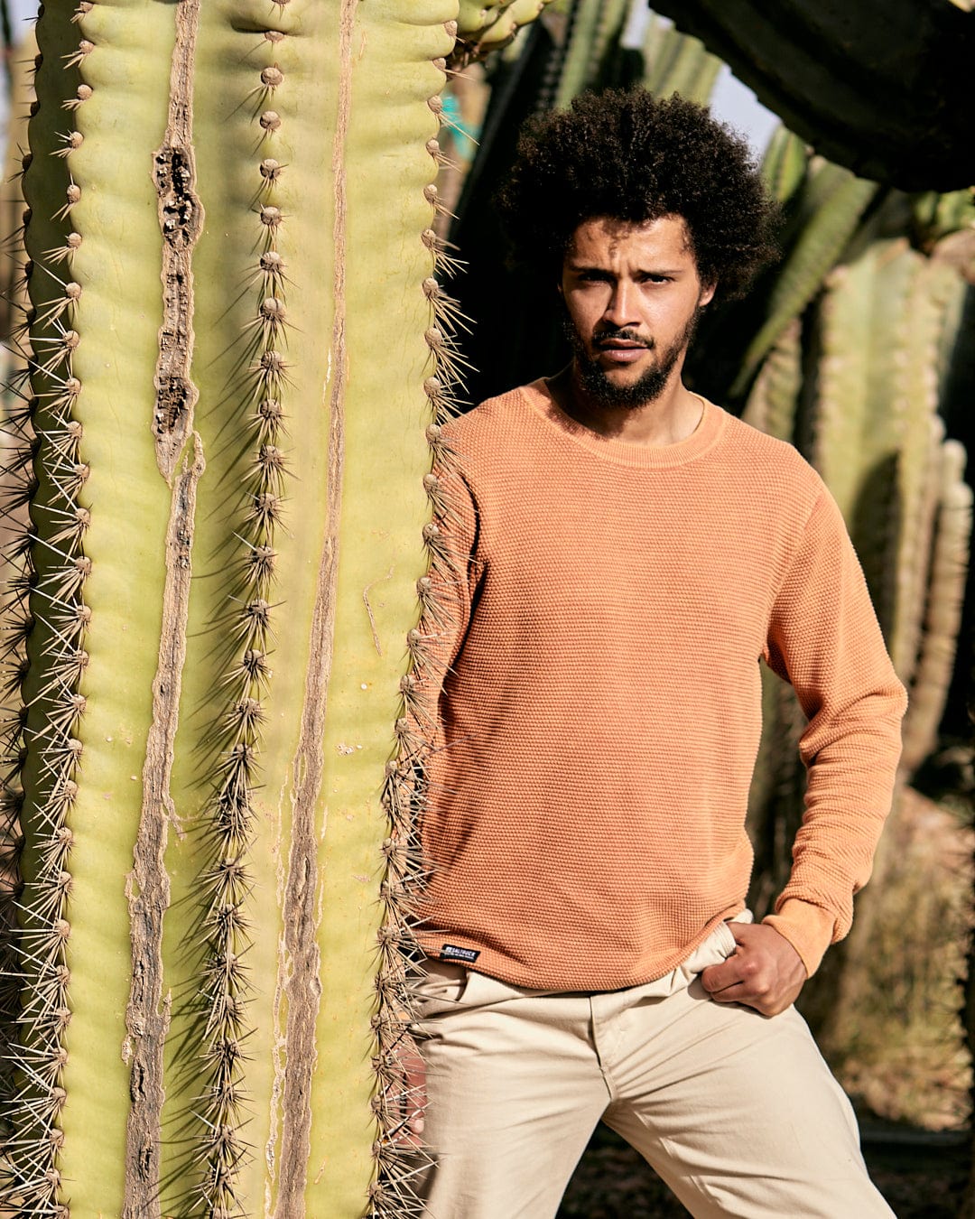 A man with curly hair, dressed in a Saltrock Moss - Mens Washed Knitted Crew - Orange sweater and beige pants, standing beside a tall cactus.