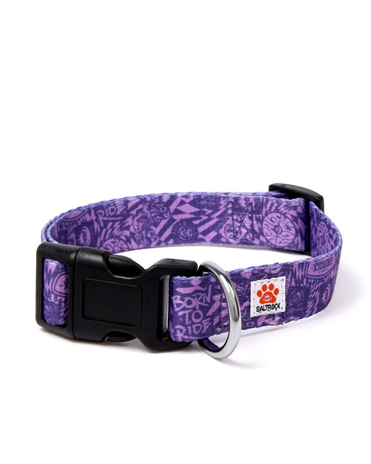 A stylish Saltrock purple dog collar with a black quick-release buckle.
