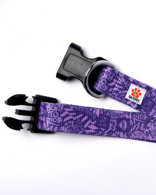 A Saltrock purple dog collar with a quick-release buckle.