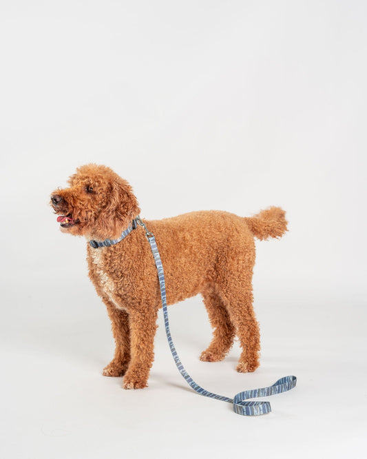 Camo Stripe - Pet Lead - Green