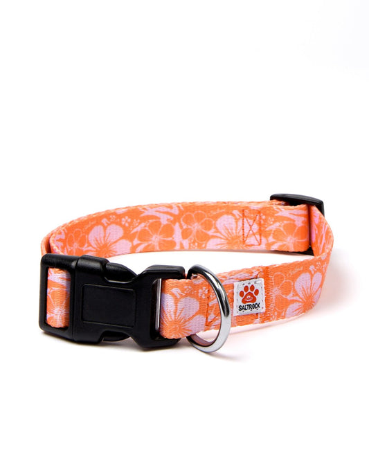 A Hibiscus dog collar by Saltrock with a vibrant orange floral pattern and a sleek black buckle.