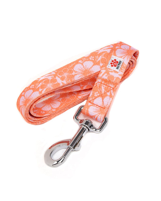 Hibiscus - Dog Lead - Orange with a metal clip, isolated on a white background by Saltrock.