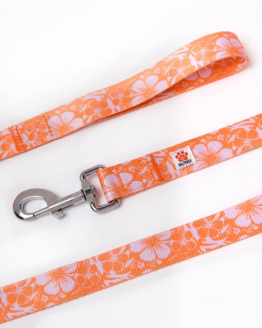 Hibiscus dog lead with a metal clip on a white background by Saltrock.