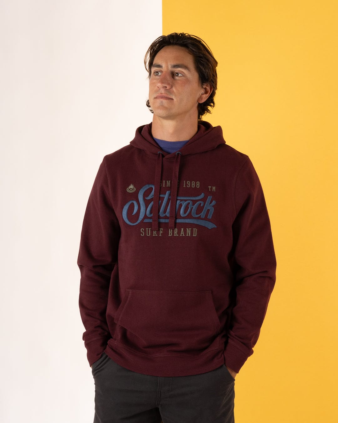 Pitcher Embroidery - Mens Pop Hoodie - Purple