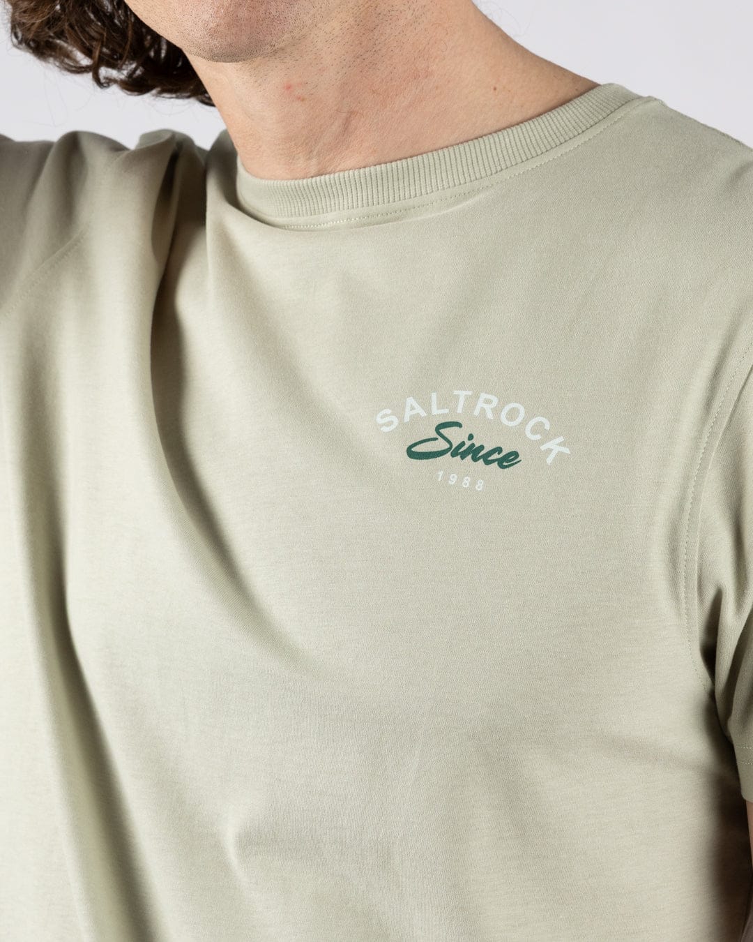 Deep Sea Flame Cornwall Mens Short Sleeve T-Shirt in Light Green