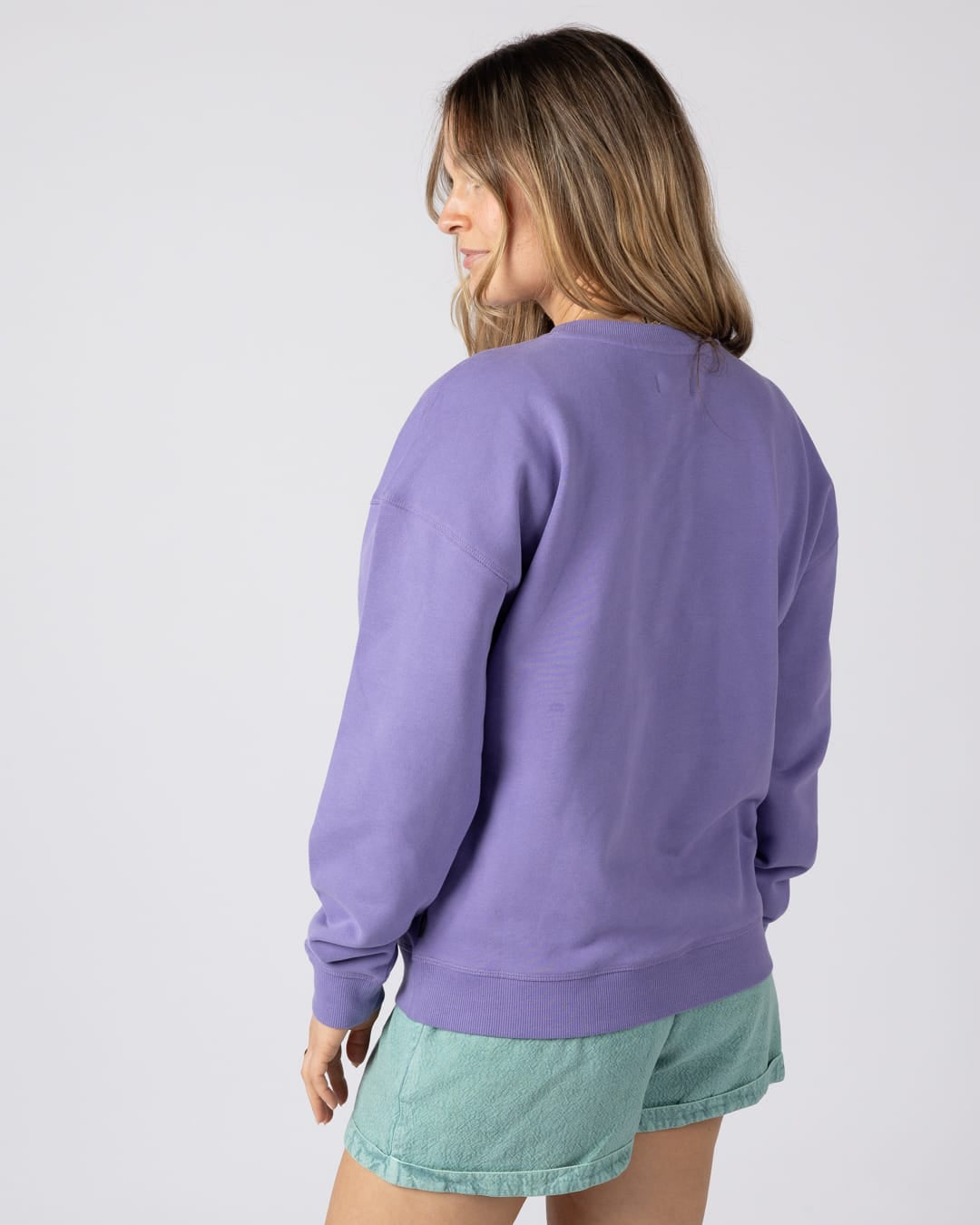 Hebe Womens Sweatshirt in Purple
