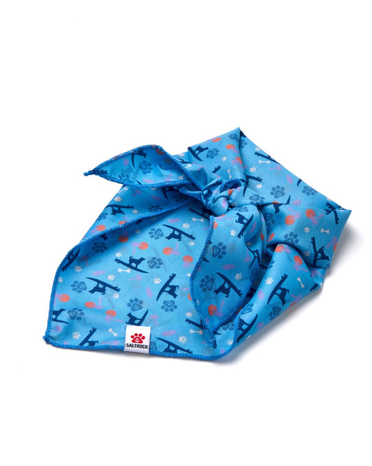 A Paw Print - Pet Bandana - Blue with airplanes on it is the perfect accessory for any dog lover by Saltrock.