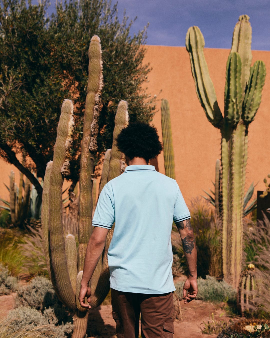 A person with curly hair, wearing a Strike Logo - Mens Short Sleeve Polo Shirt - Light Blue adorned with a Saltrock embroidered logo and brown pants, faces away, standing next to tall cacti in an arid garden.