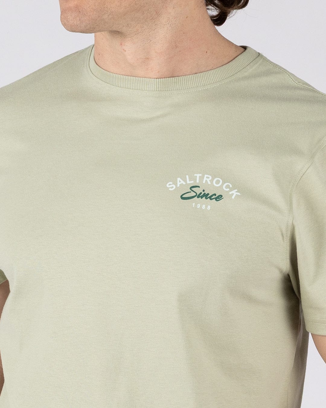 Deep Sea Flame Devon  - Mens Short Sleeve T-shirt - Light Green