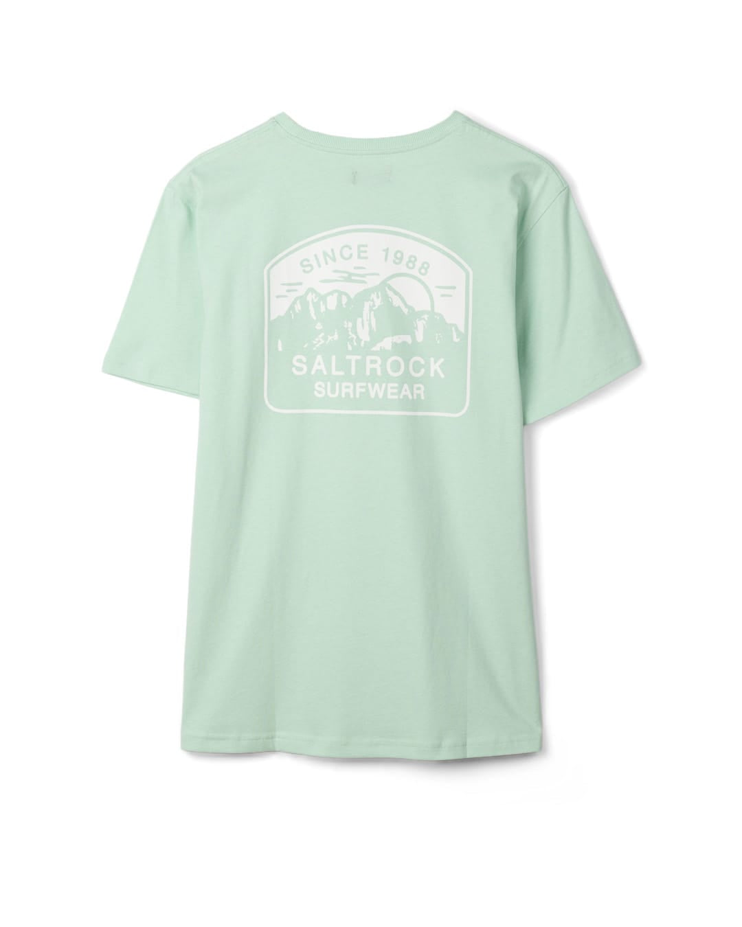 Mountain Mens Stripe Badge Classic Short Sleeve T-Shirt In Light Green