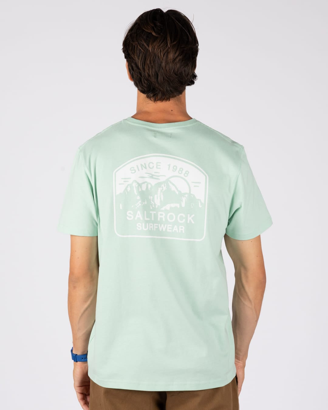 Mountain Mens Stripe Badge Classic Short Sleeve T-Shirt In Light Green