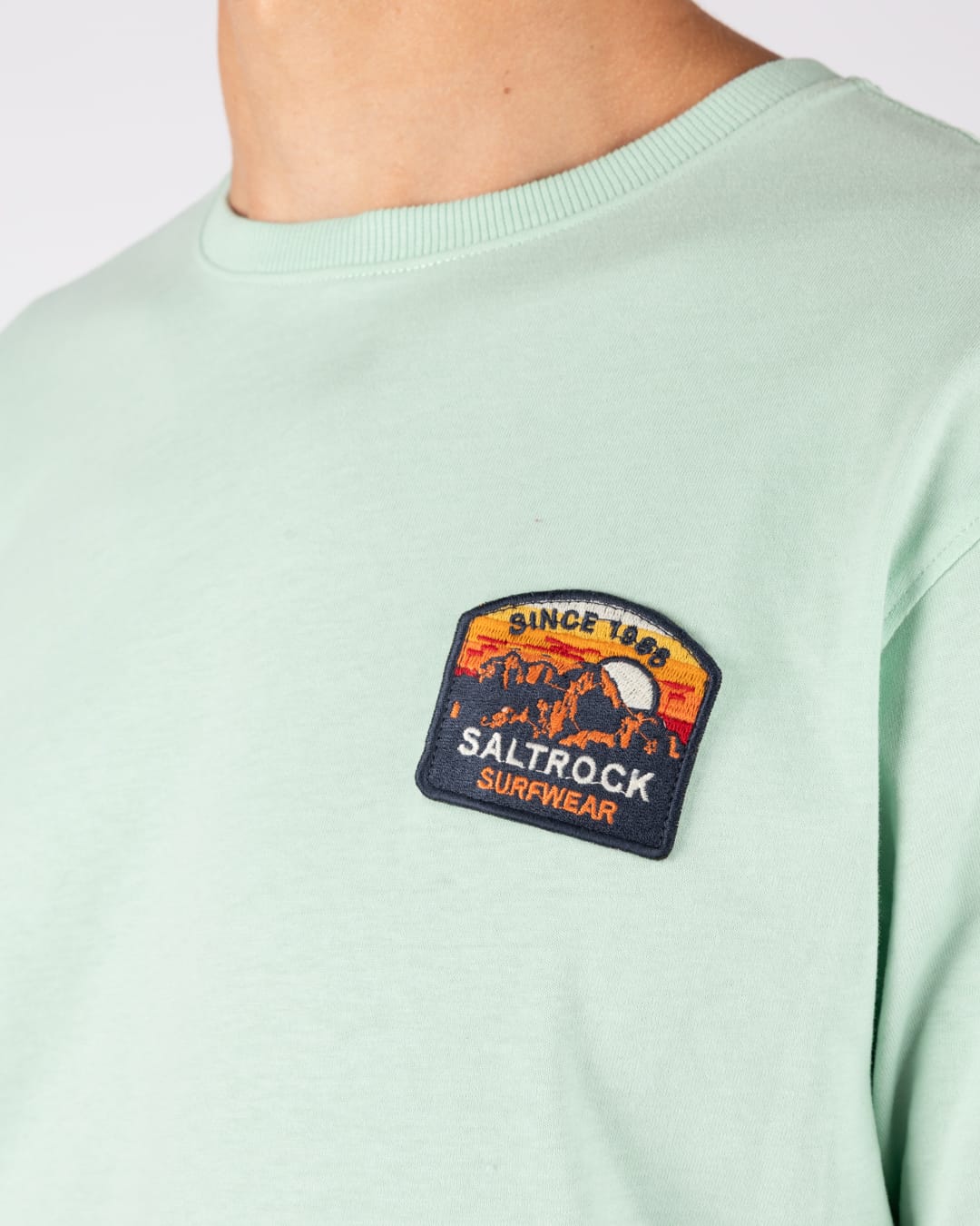 Mountain Mens Stripe Badge Classic Short Sleeve T-Shirt In Light Green