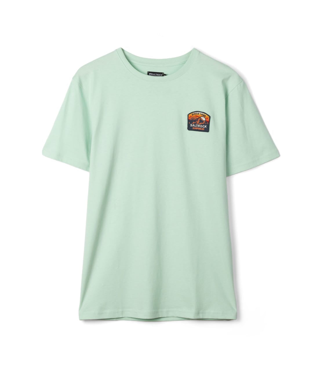 Mountain Mens Stripe Badge Classic Short Sleeve T-Shirt In Light Green