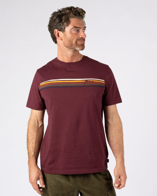 Torn Stripe - Mens T-Shirt - Dark Purple