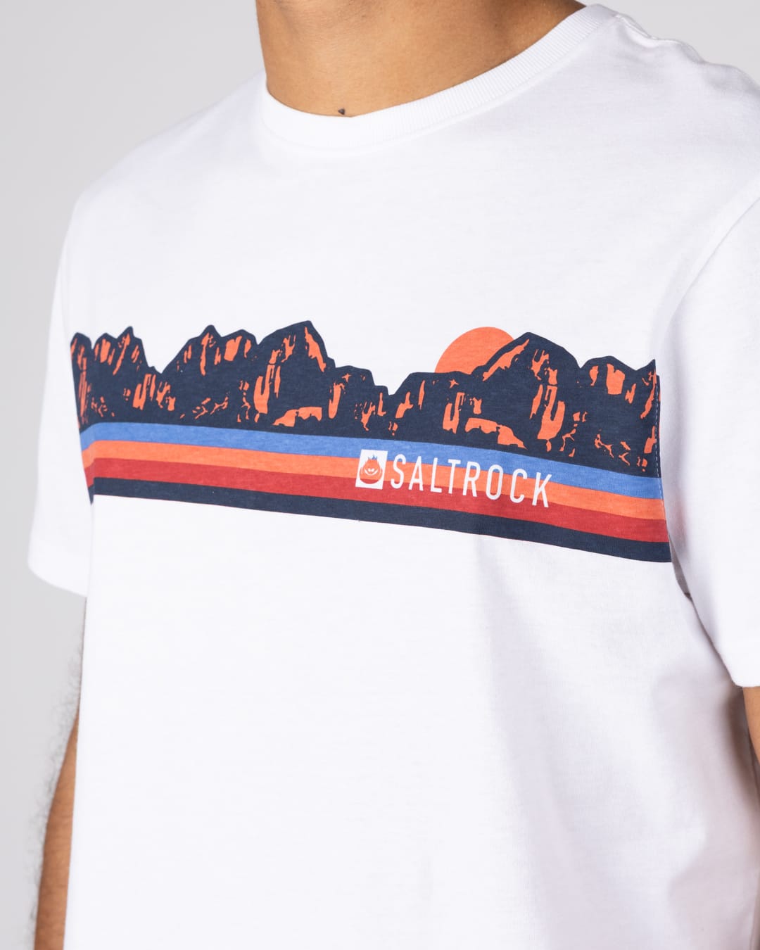 Mountain Mens Retro Stripe Classic Short Sleeve T-Shirt In White