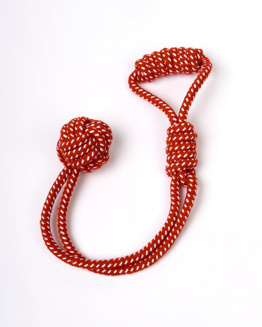 A Saltrock red and white rope with a knot on it, perfect for playing tug of war with your dog.
