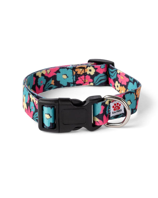 Holidaze - Pet Collar - Multi