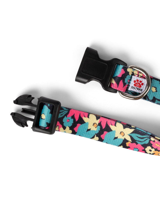 Holidaze - Pet Collar - Multi