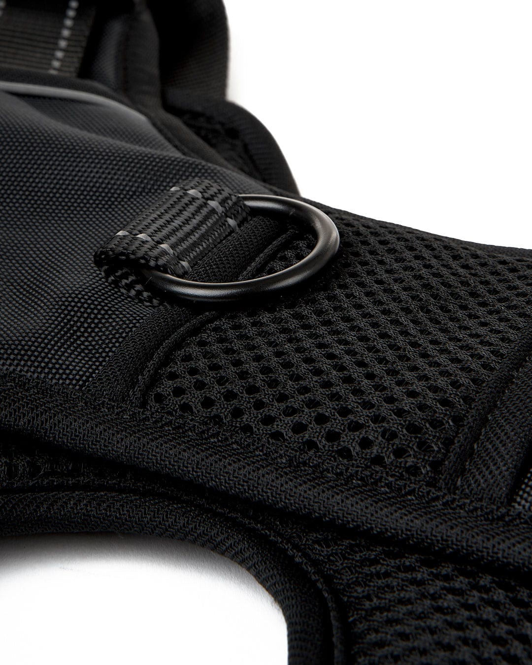 A Saltrock branded black pet harness with adjustable straps and a metal buckle.